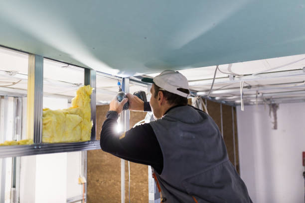 Best Insulation Maintenance and Repair in Salem, SD