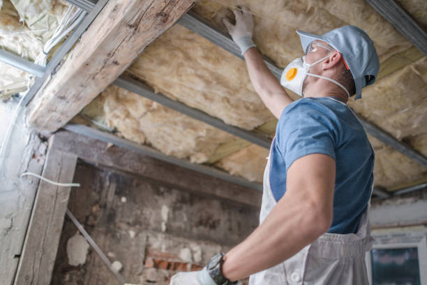 Best Residential Insulation in Salem, SD