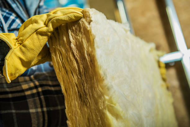 Best Residential Insulation in Salem, SD